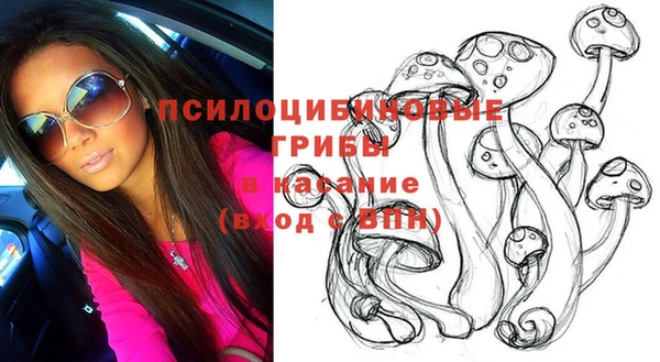 молекула духа Пролетарск