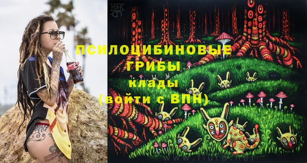 МДПВ Заволжск