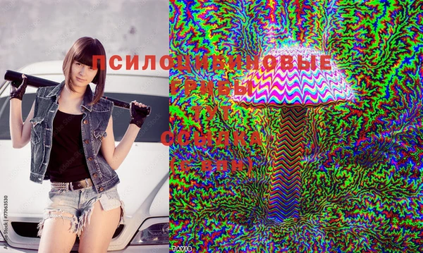 МДПВ Заволжск