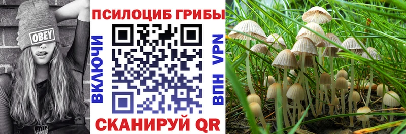 Псилоцибиновые грибы мухоморы  Ивангород 